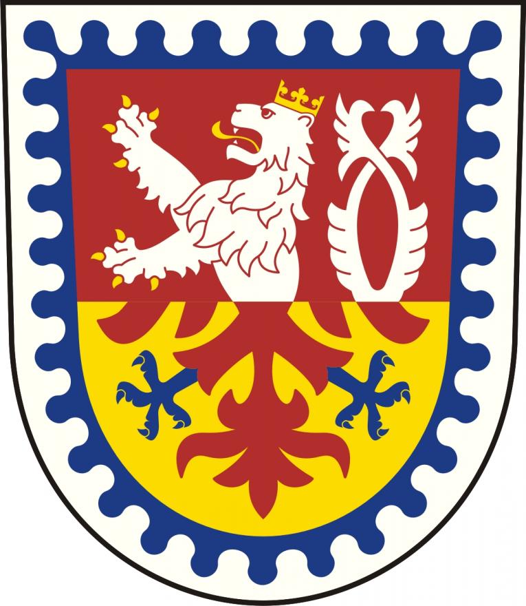 Varianta 1